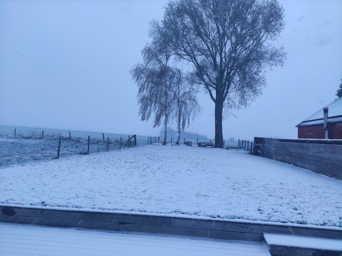 Apartment *** Biezoe *** Brakel
